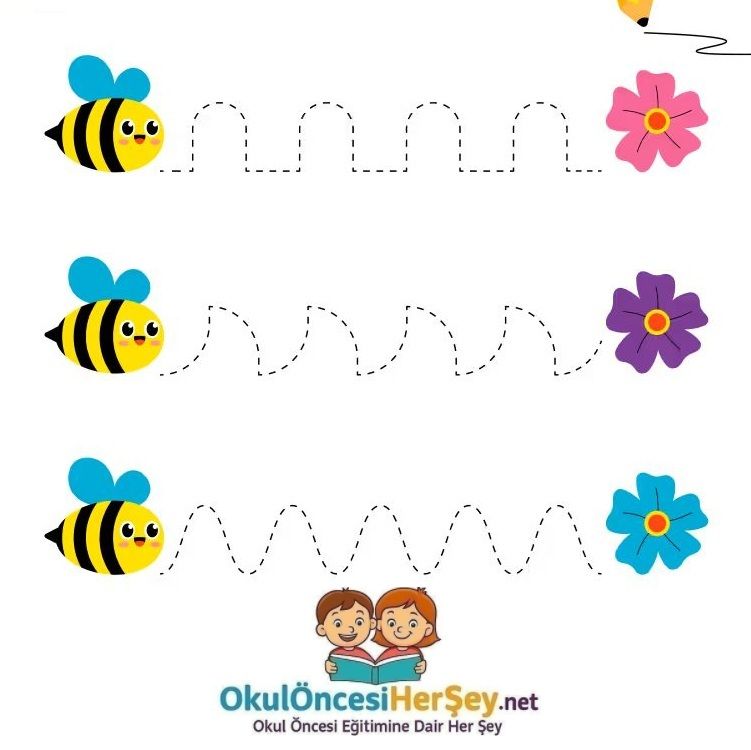 Çizgi Çalışmaları