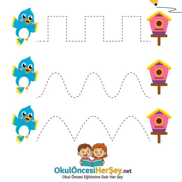 Çizgi Çalışmaları