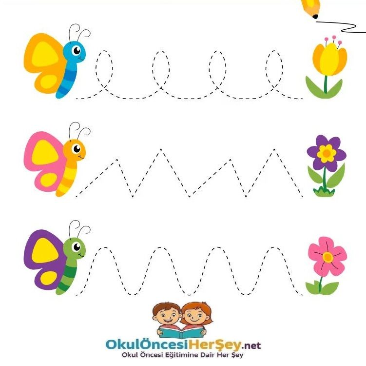 Çizgi Çalışmaları