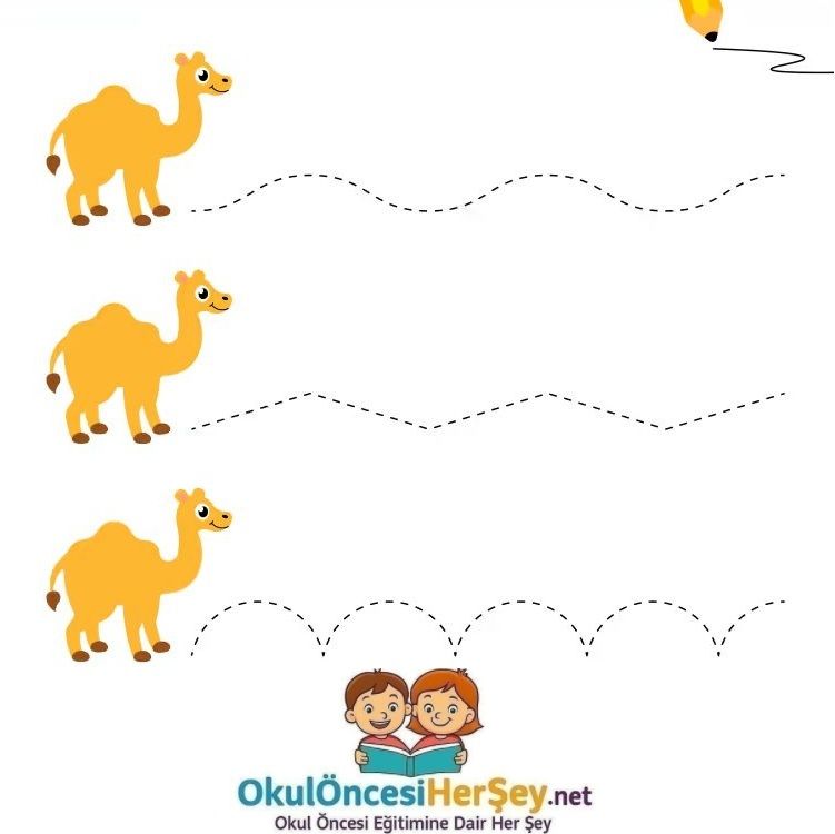 Çizgi Çalışmaları