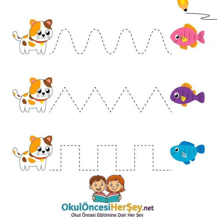 Çizgi Çalışmaları