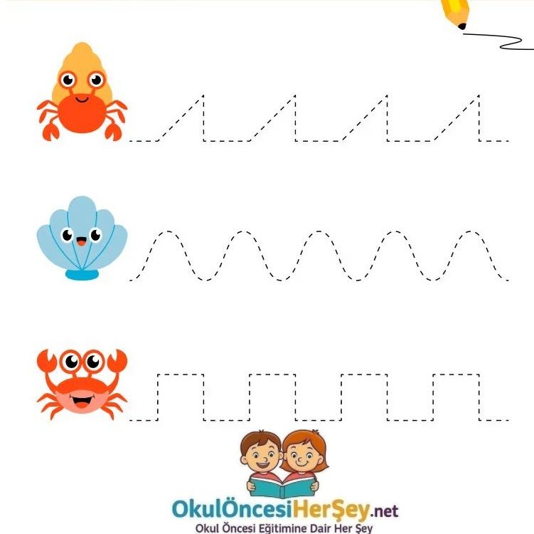 Çizgi Çalışmaları