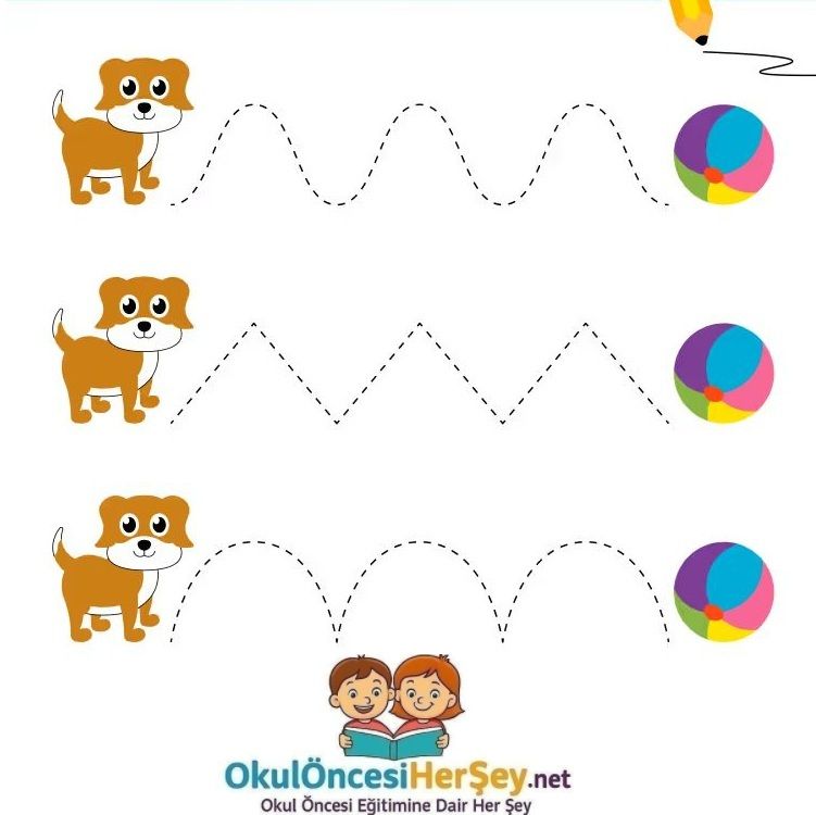 Çizgi Çalışmaları