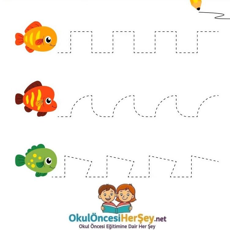 Çizgi Çalışmaları