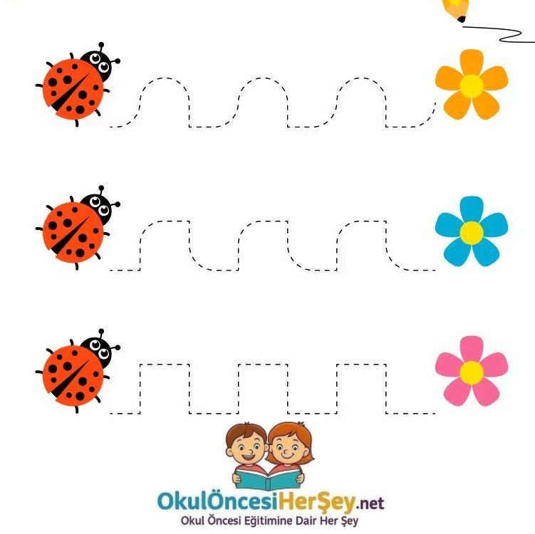 Çizgi Çalışmaları