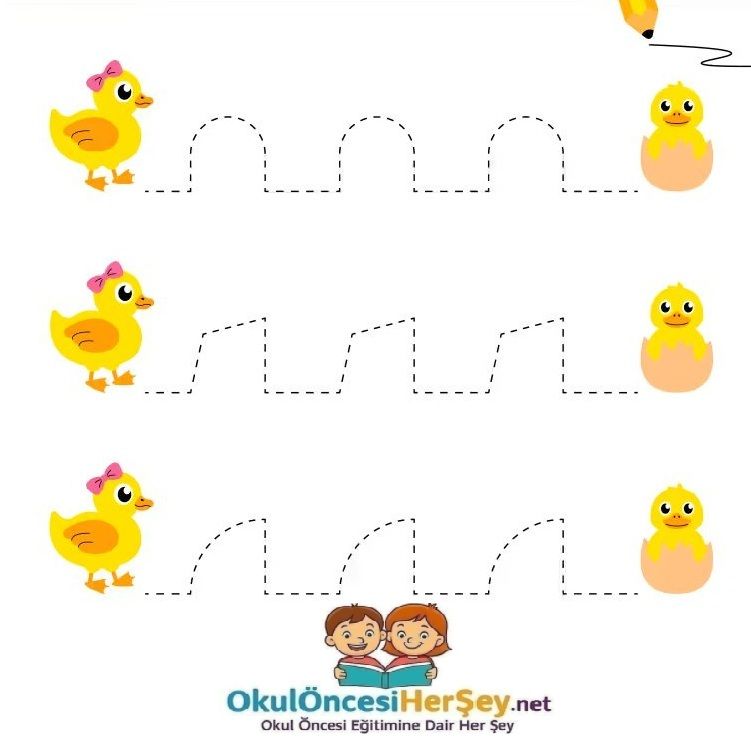 Çizgi Çalışmaları