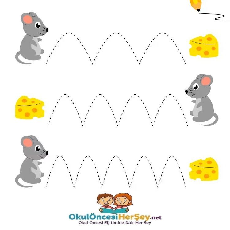 Çizgi Çalışmaları