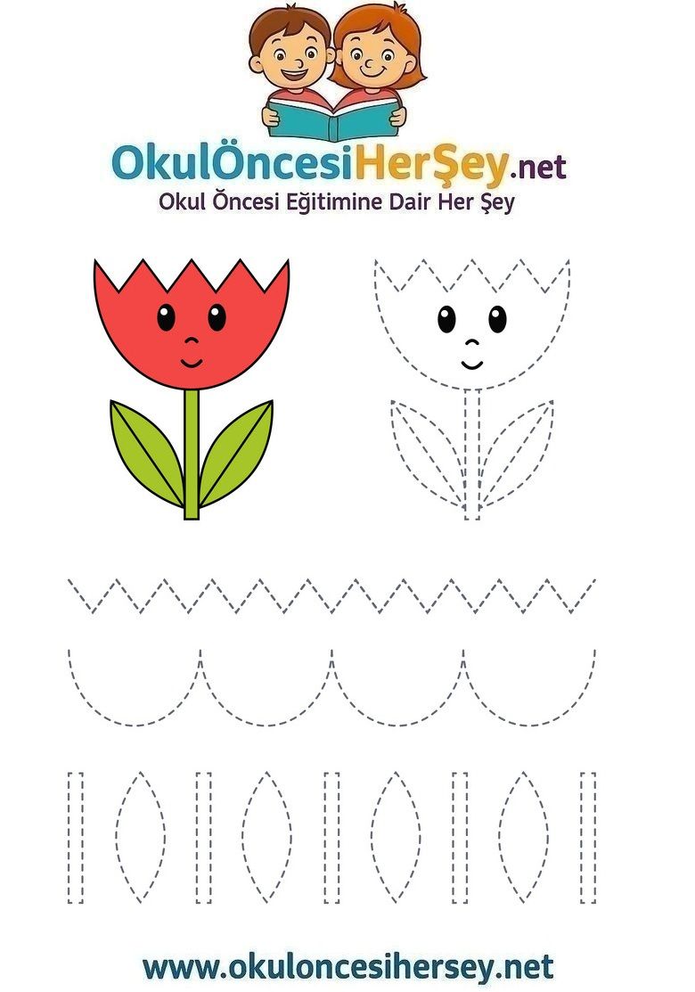 Çizgi Çalışmaları