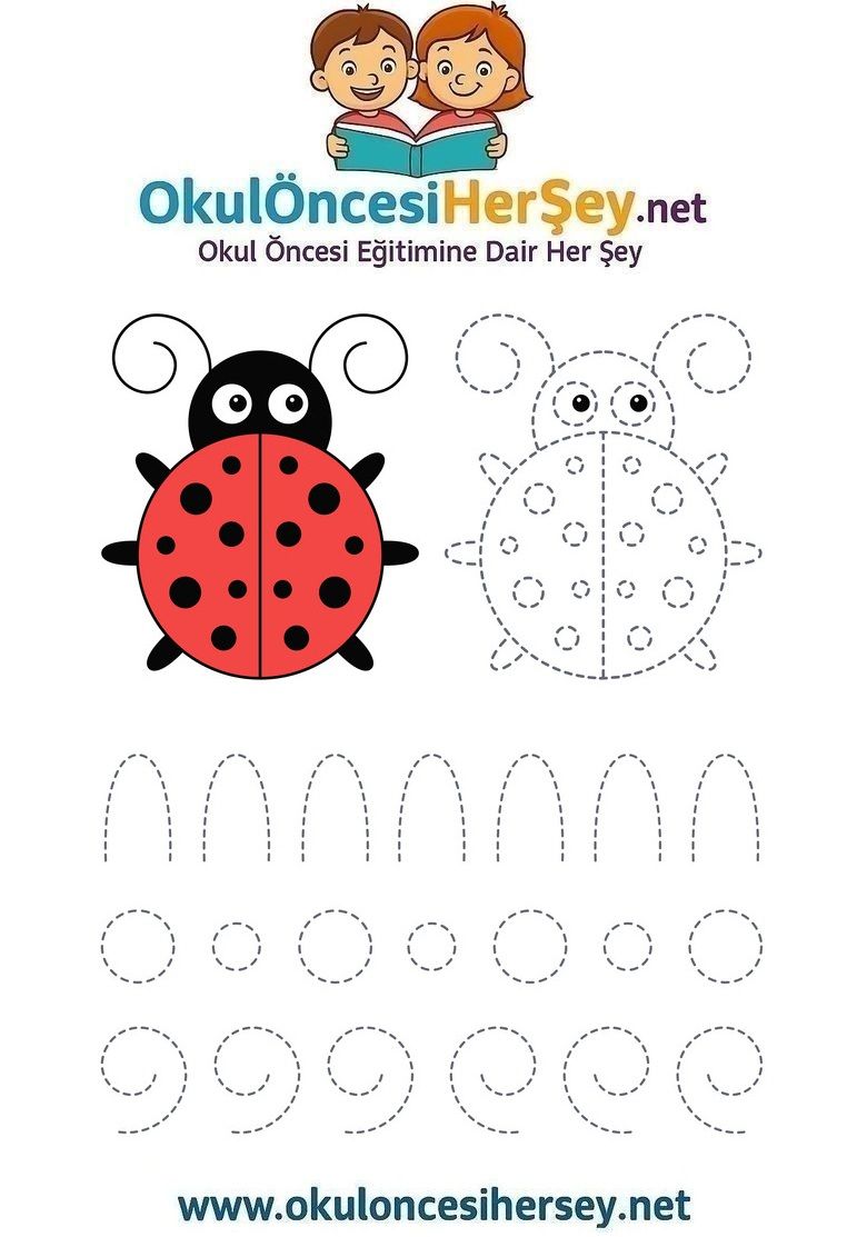 Çizgi Çalışmaları