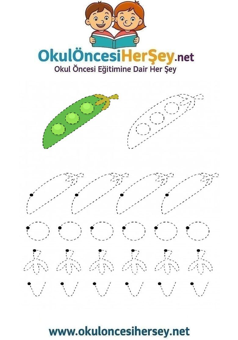 Çizgi Çalışmaları