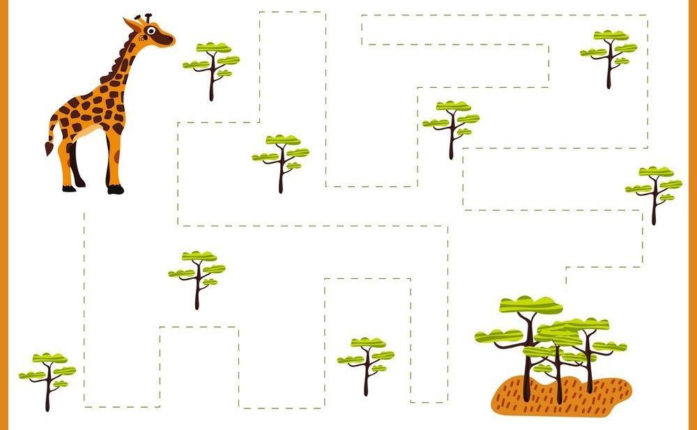 Çizgi Çalışmaları