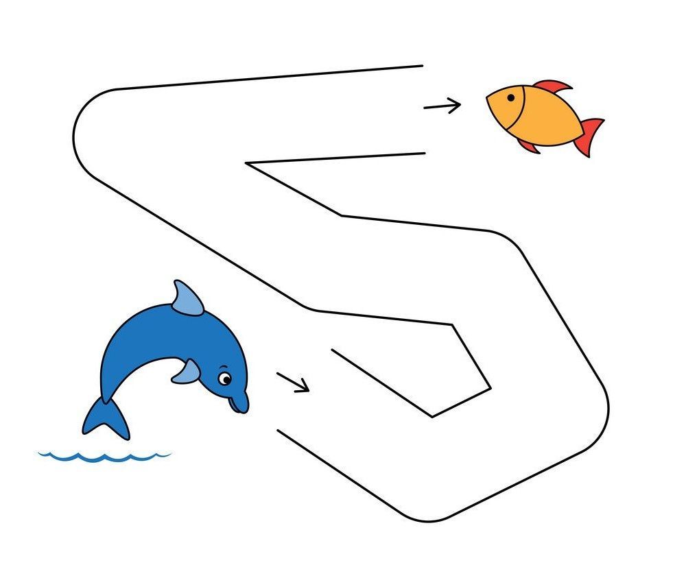 Çizgi Çalışmaları