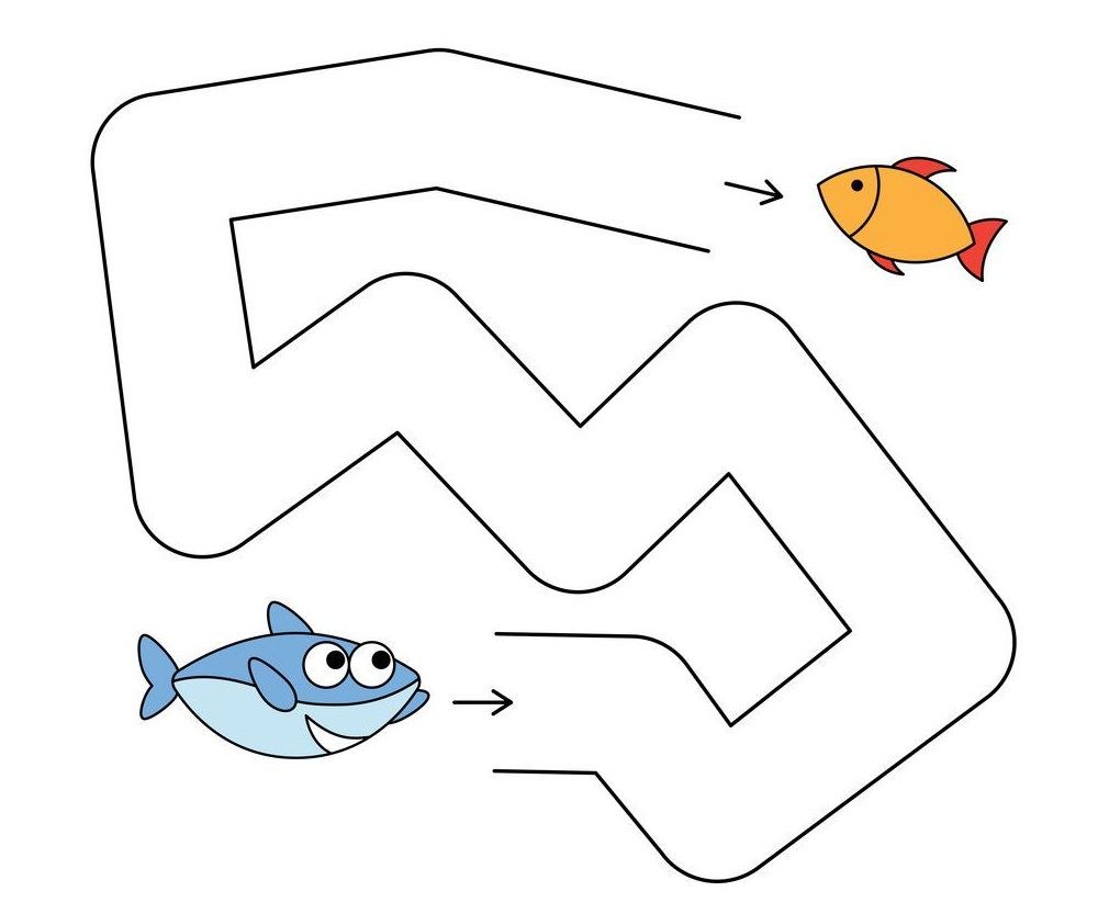 Çizgi Çalışmaları