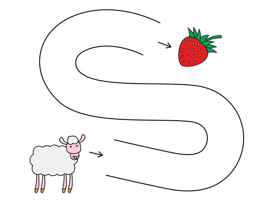 Çizgi Çalışmaları