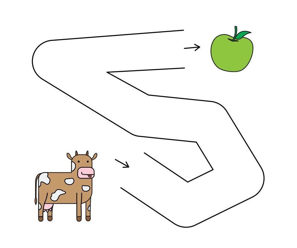 Çizgi Çalışmaları