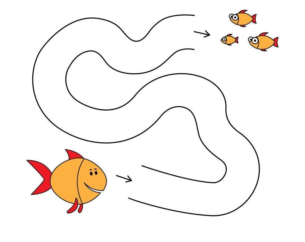 Çizgi Çalışmaları