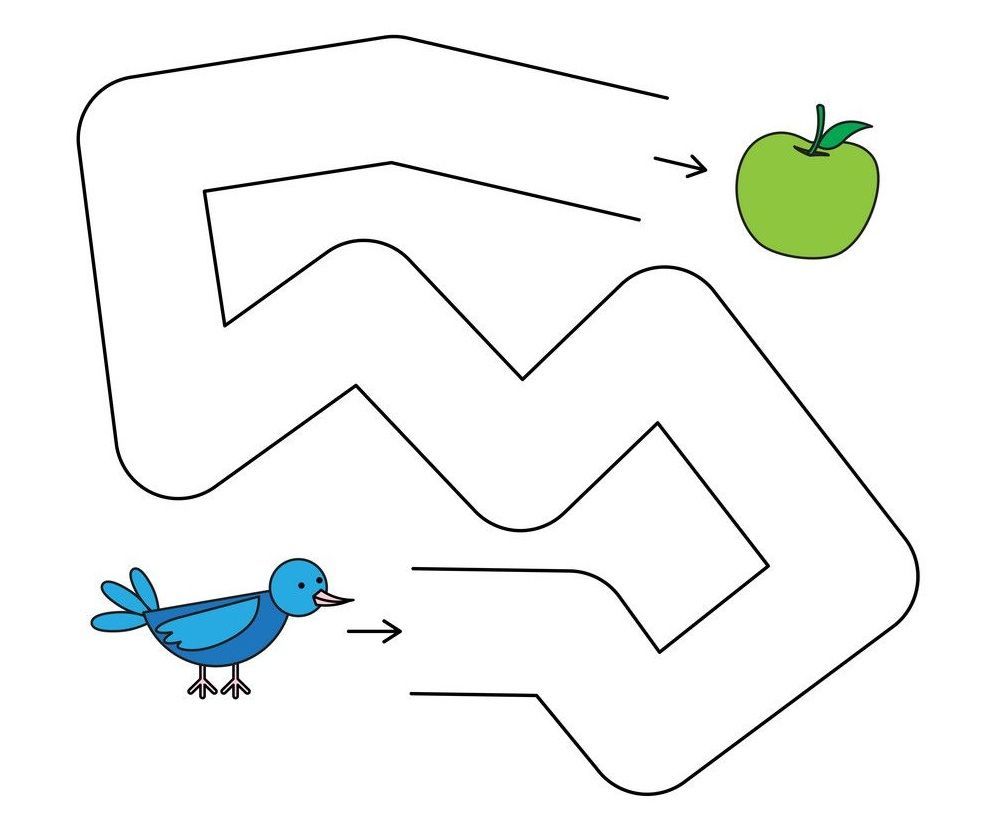 Çizgi Çalışmaları