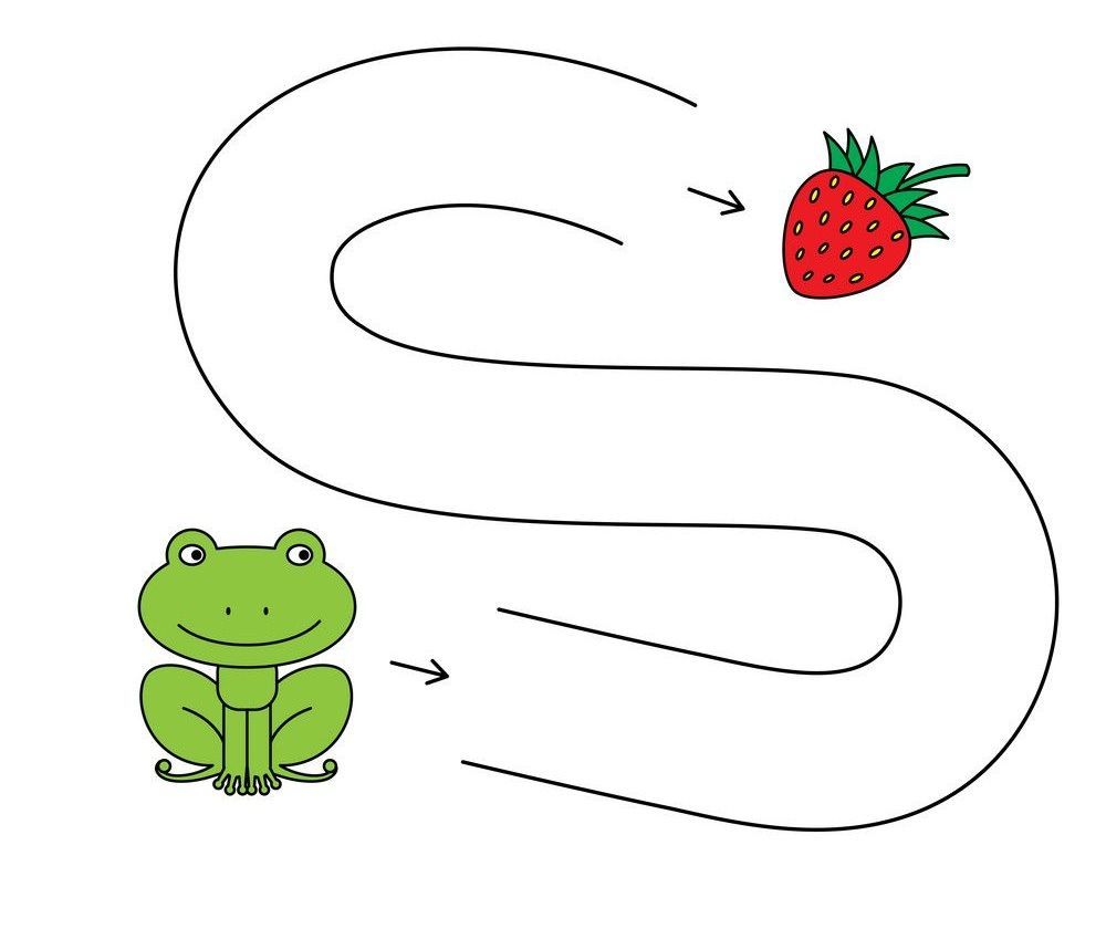 Çizgi Çalışmaları