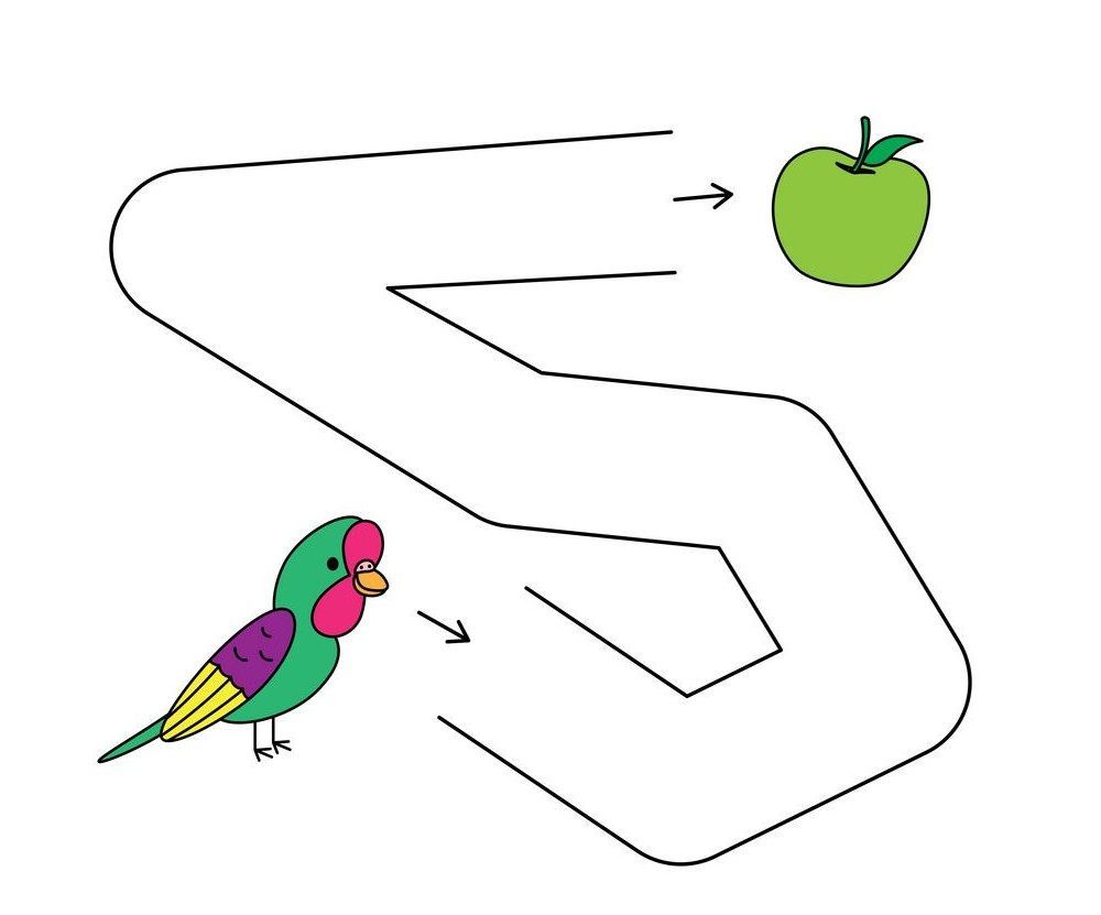 Çizgi Çalışmaları