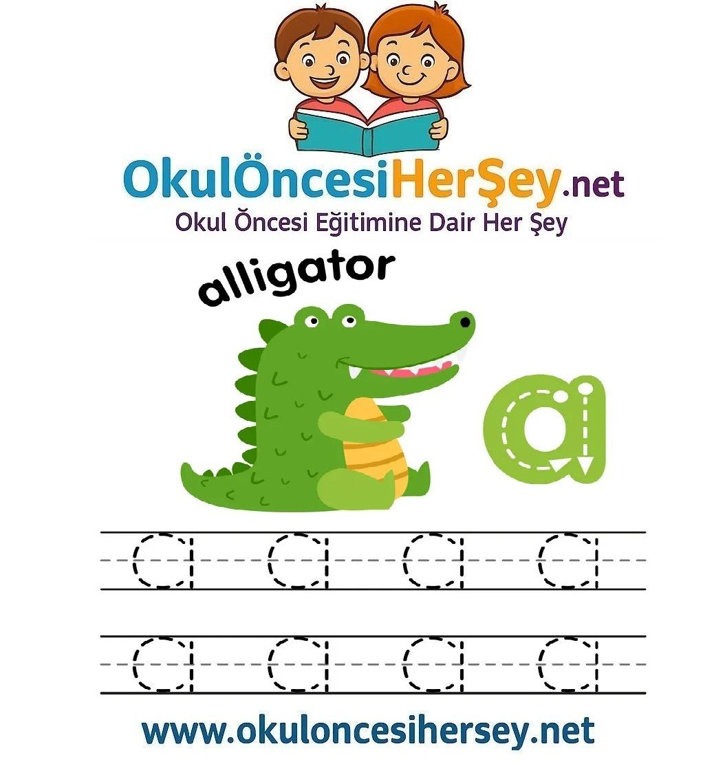 Çizgi Çalışmaları