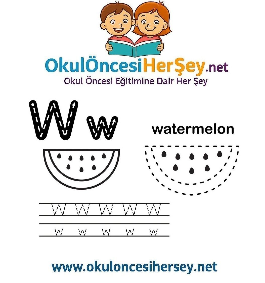 Çizgi Çalışmaları