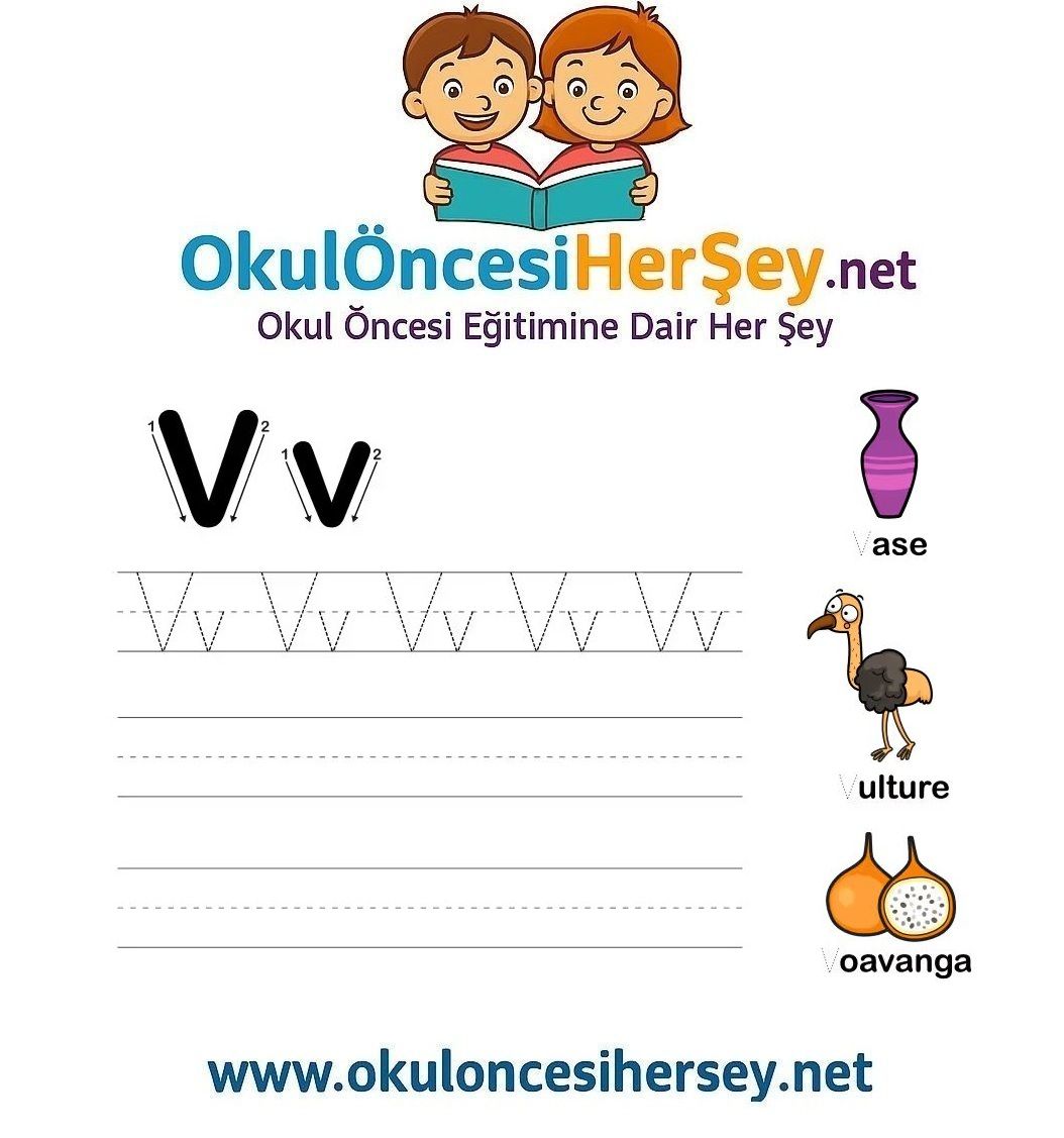 Çizgi Çalışmaları