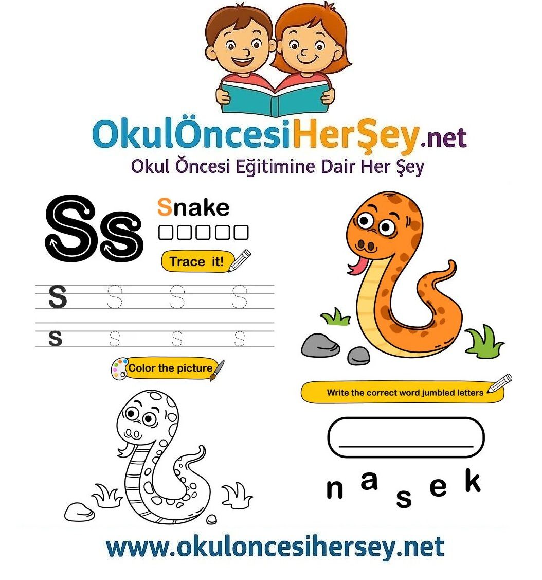 Çizgi Çalışmaları