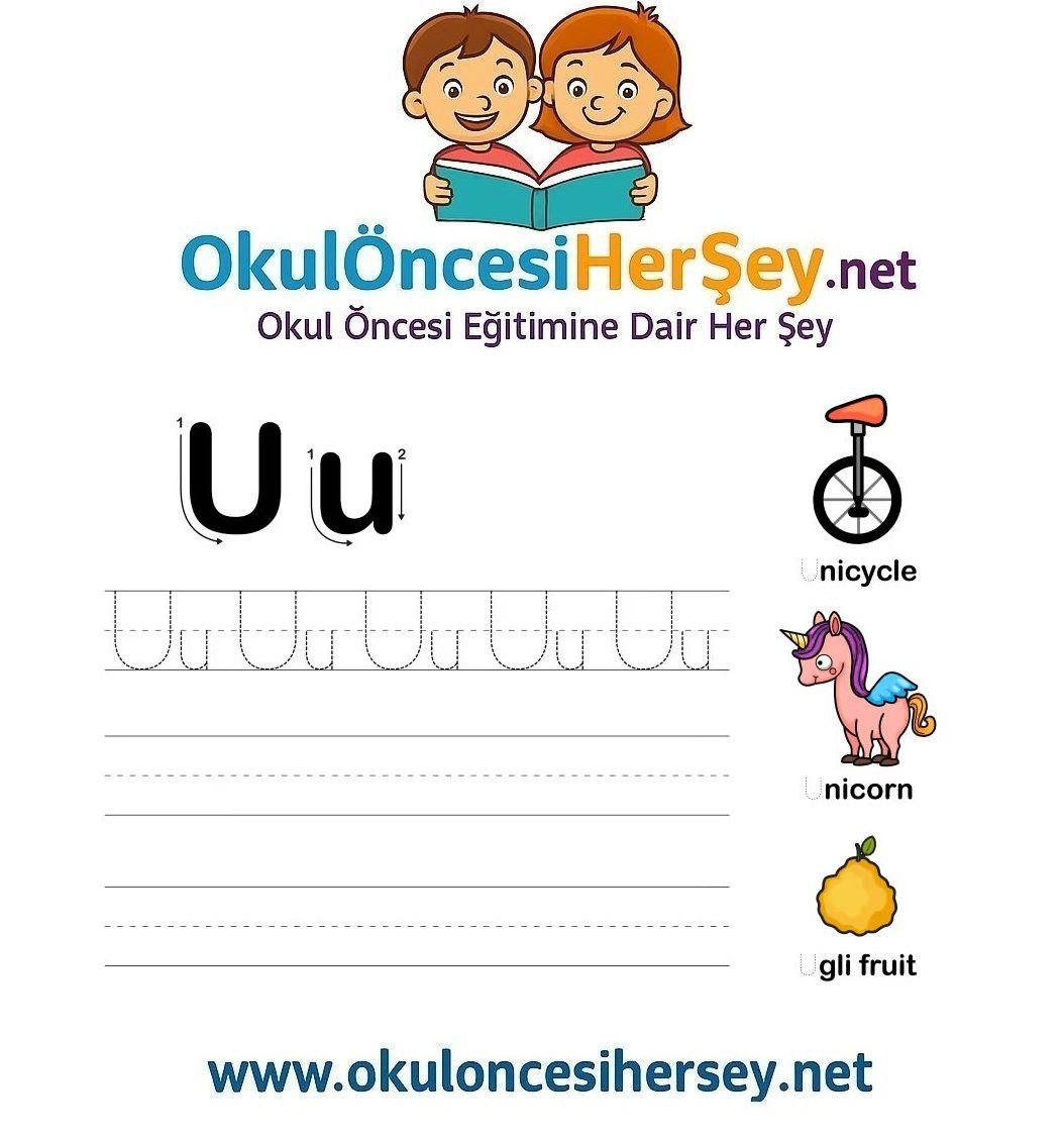 Çizgi Çalışmaları