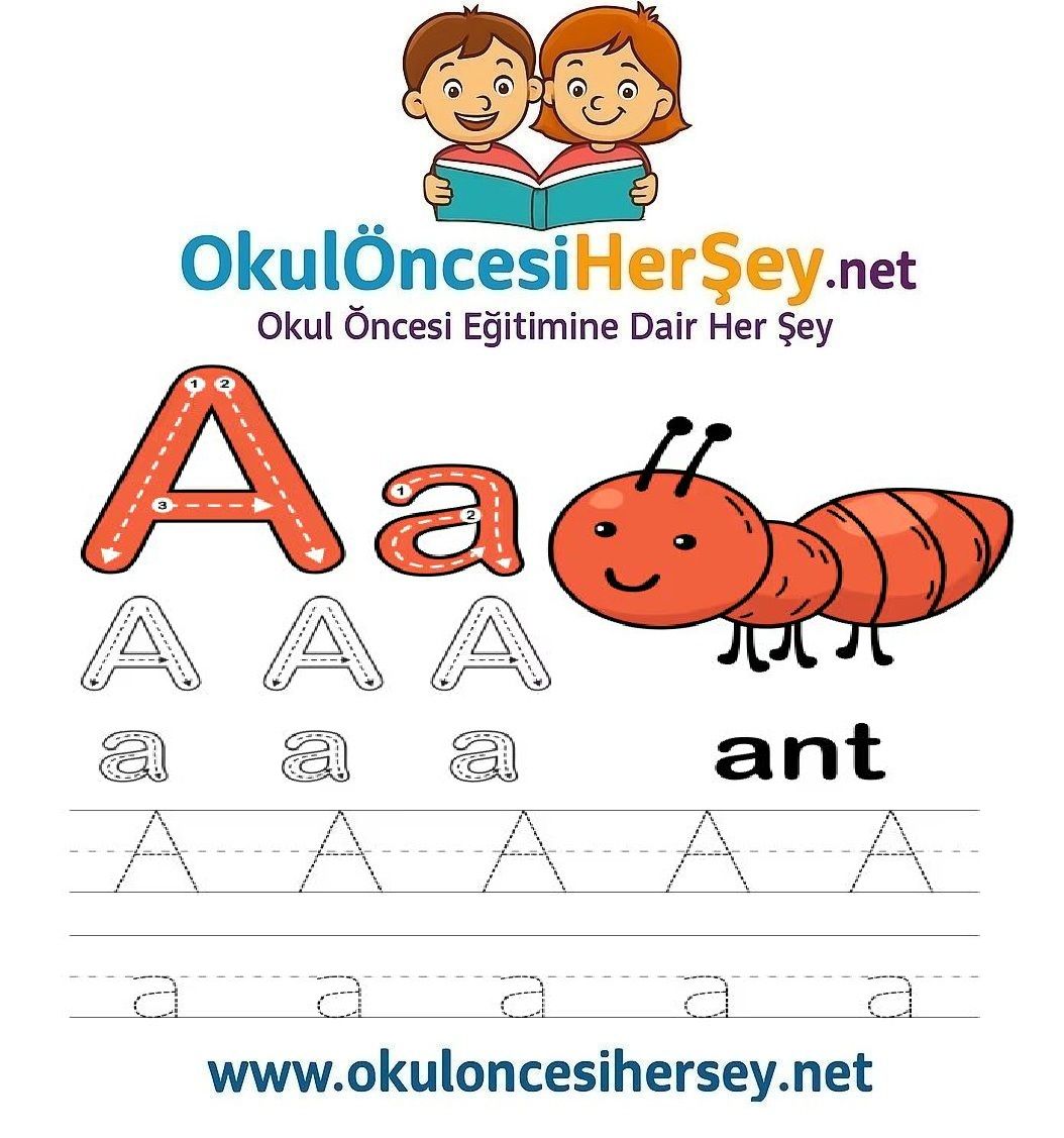 Çizgi Çalışmaları