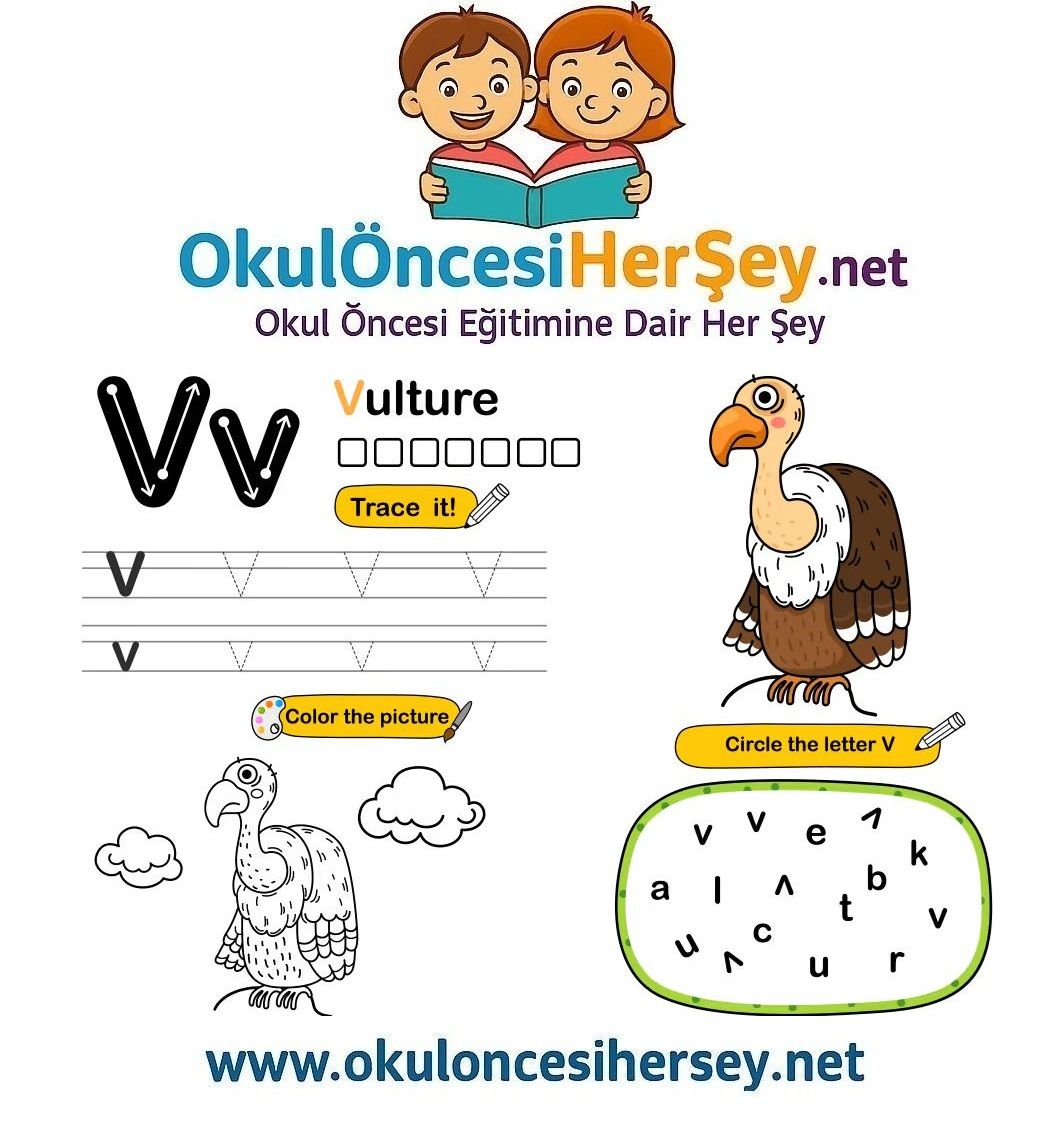 Çizgi Çalışmaları