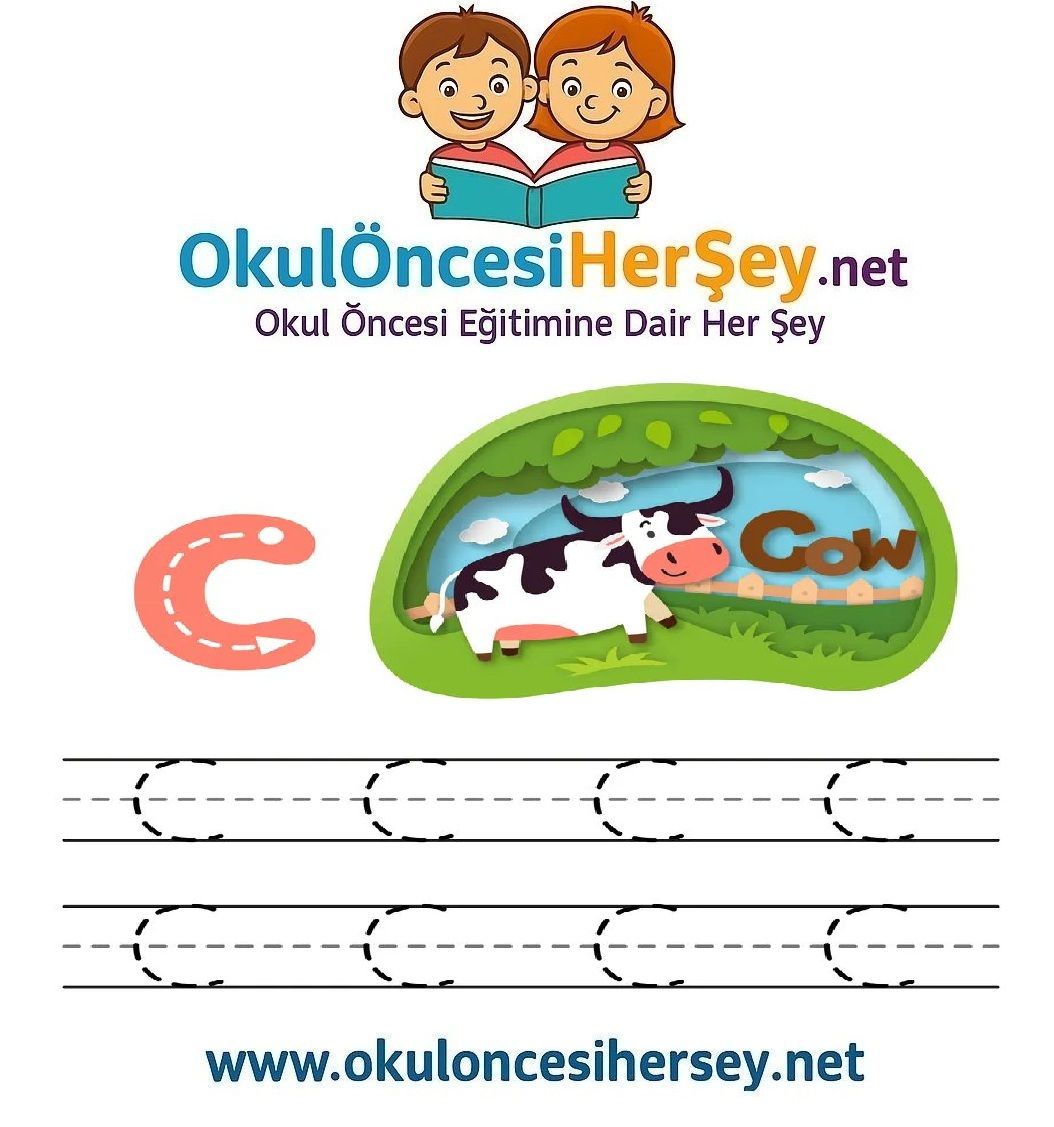 Çizgi Çalışmaları