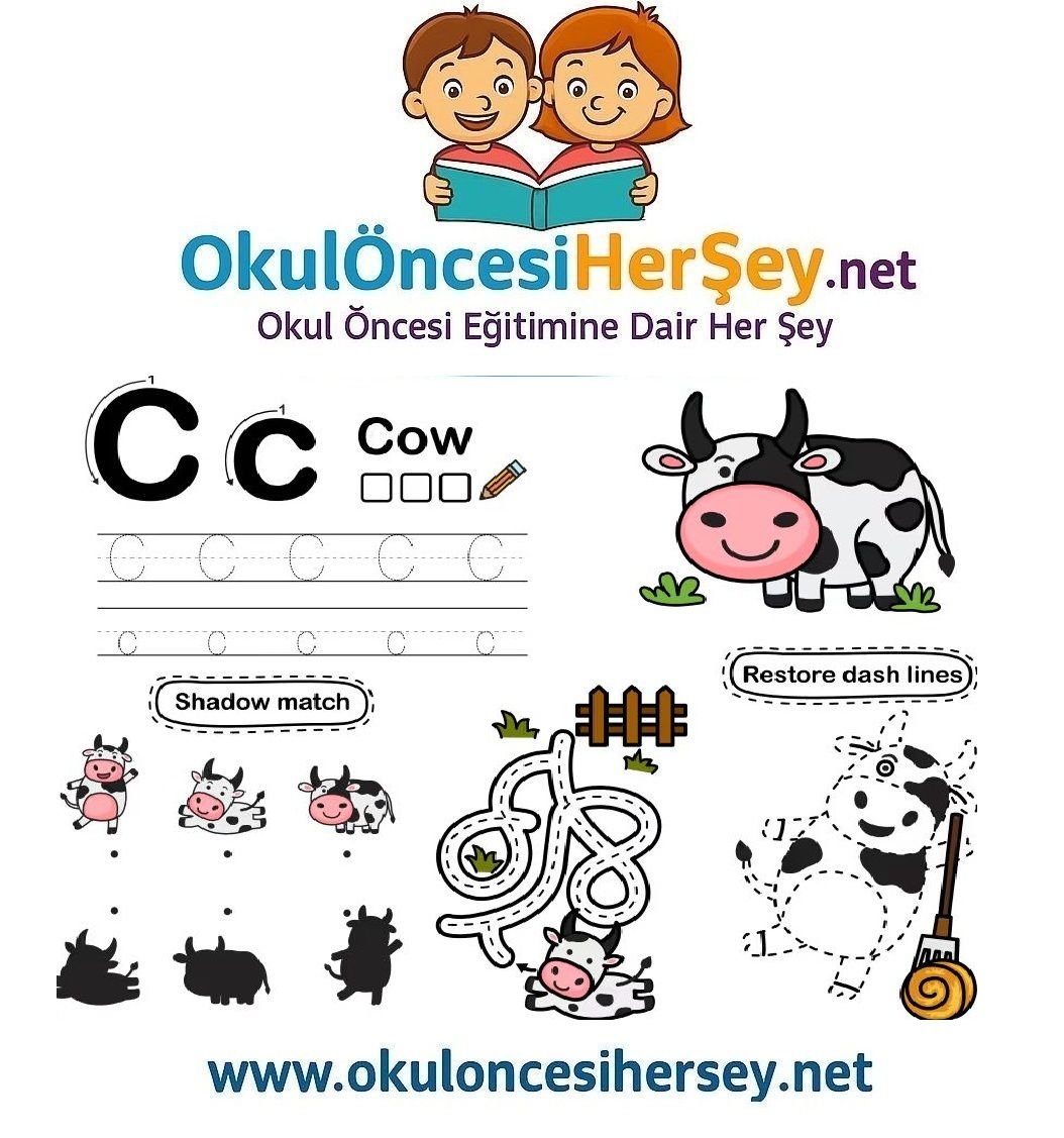 Çizgi Çalışmaları