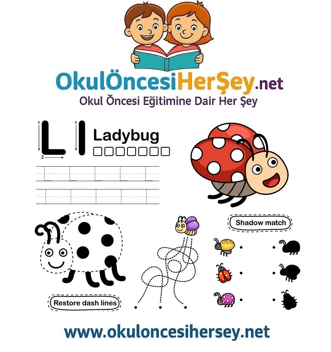 Çizgi Çalışmaları