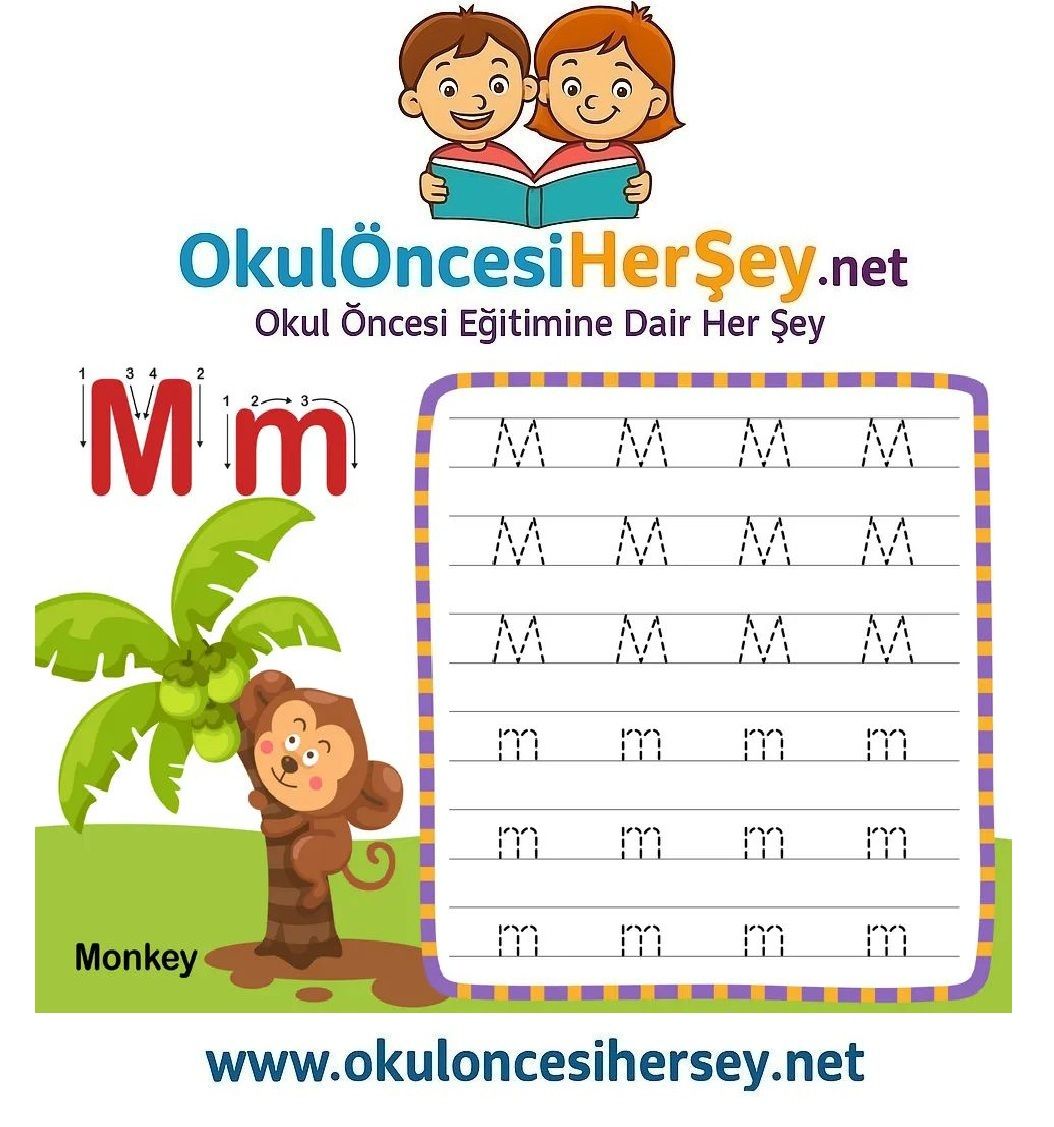 Çizgi Çalışmaları