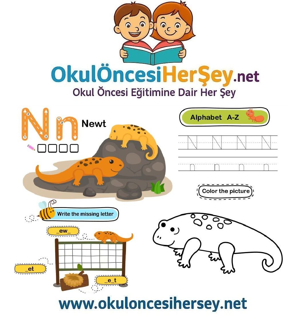 Çizgi Çalışmaları