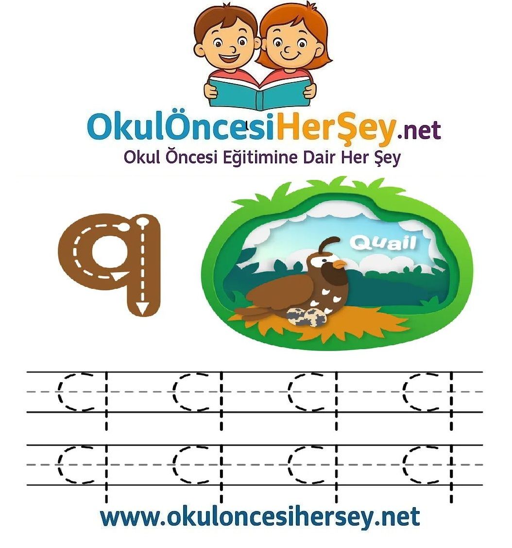 Çizgi Çalışmaları