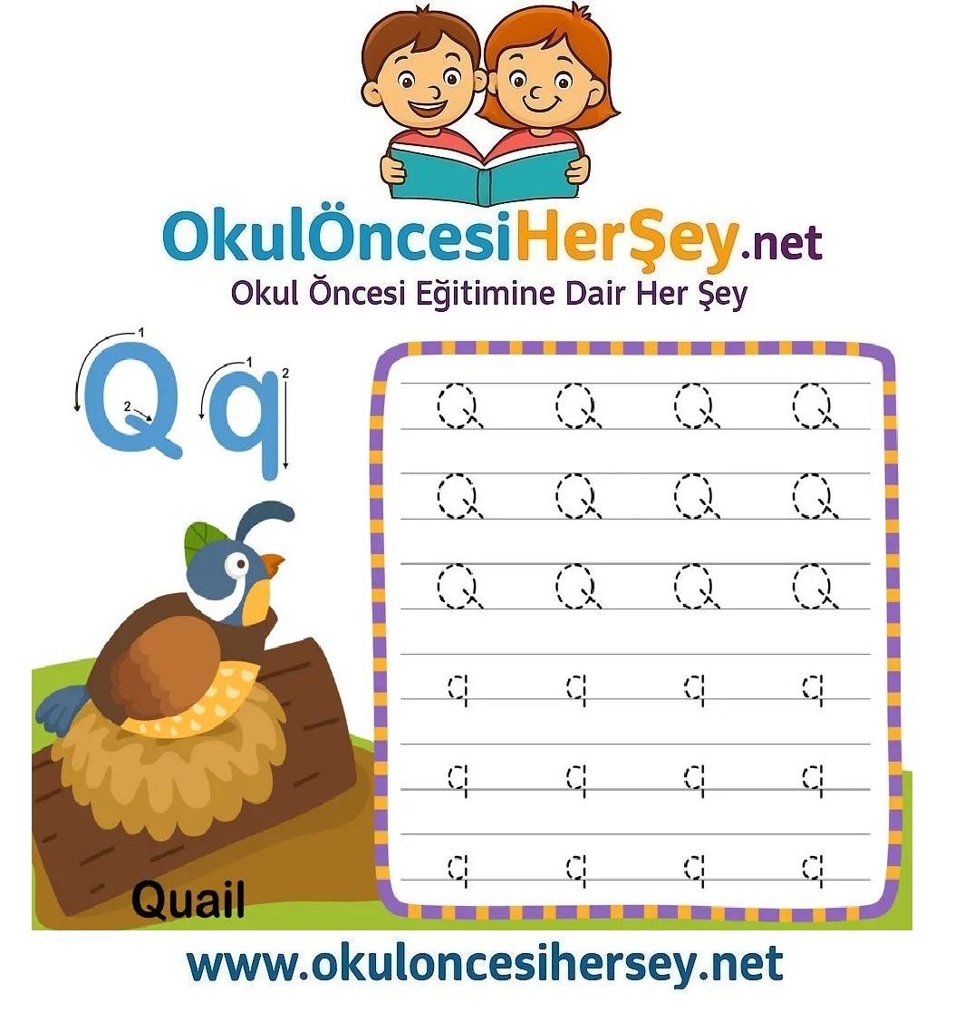 Çizgi Çalışmaları