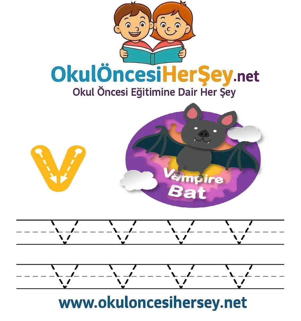 Çizgi Çalışmaları