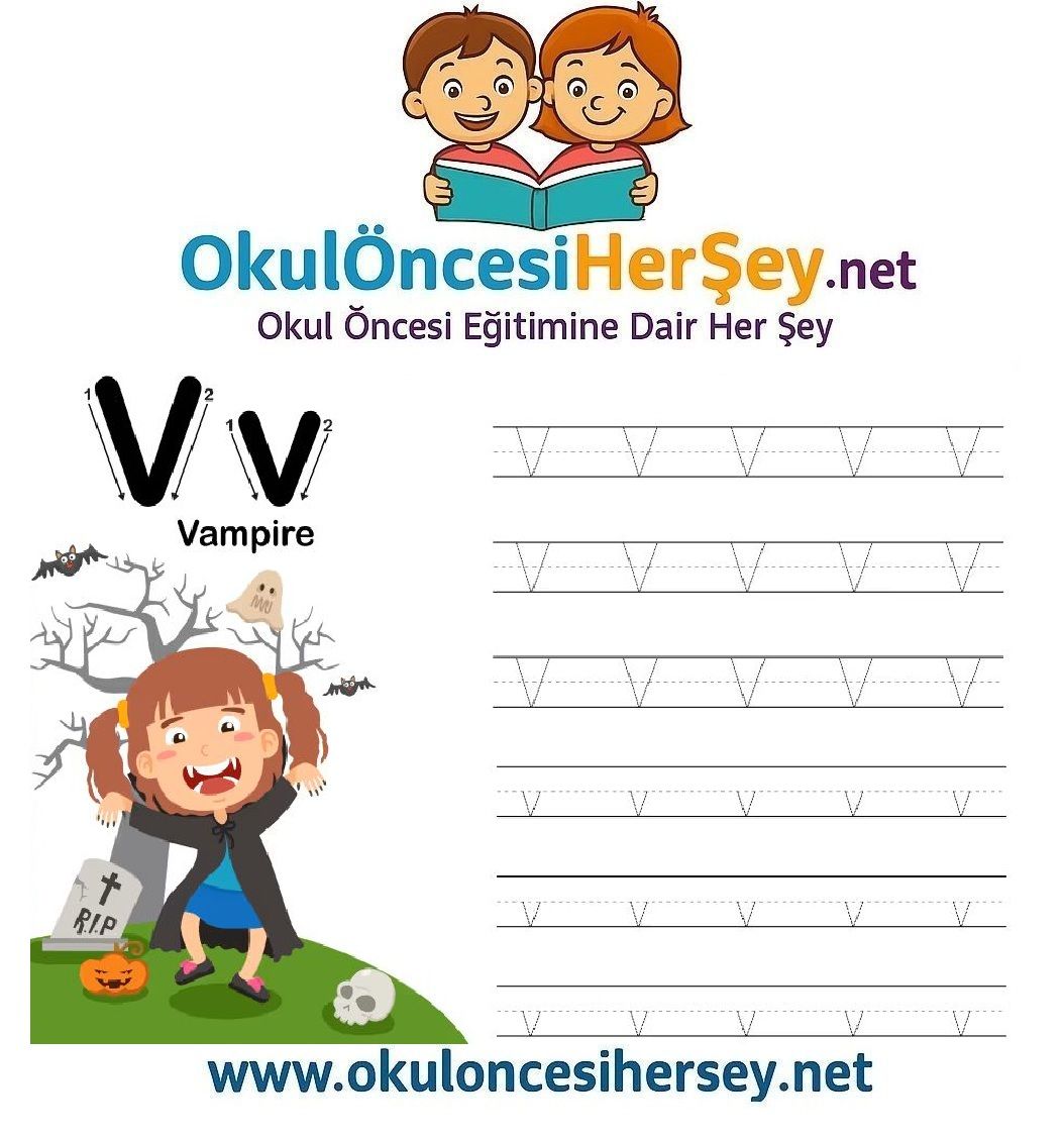 Çizgi Çalışmaları