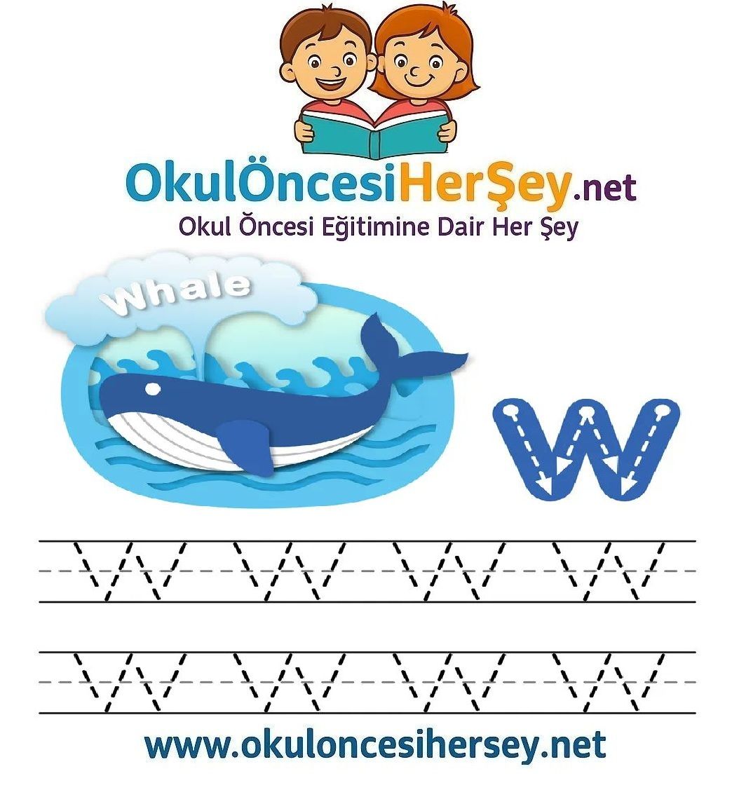 Çizgi Çalışmaları