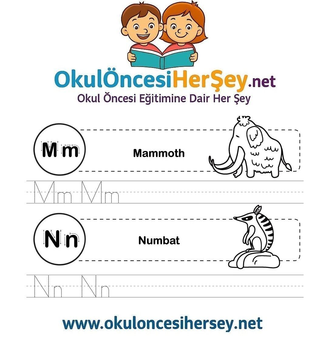 Çizgi Çalışmaları