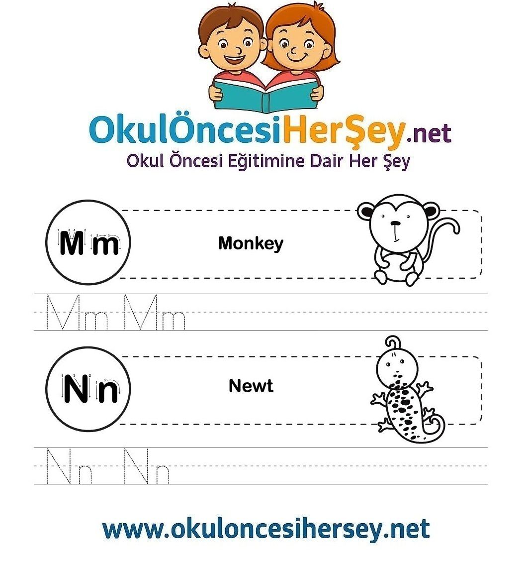 Çizgi Çalışmaları