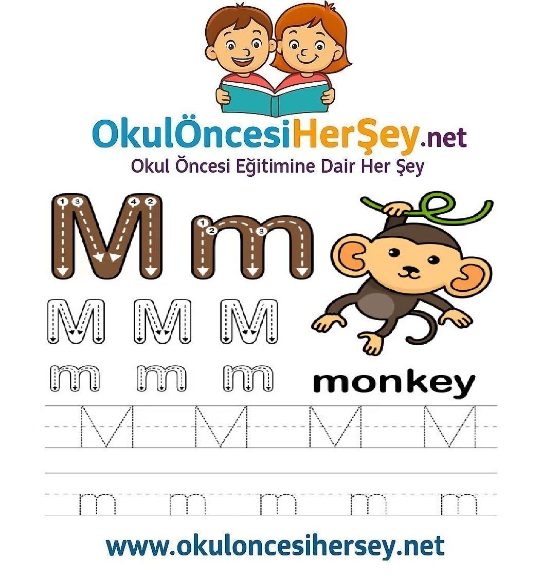 Çizgi Çalışmaları