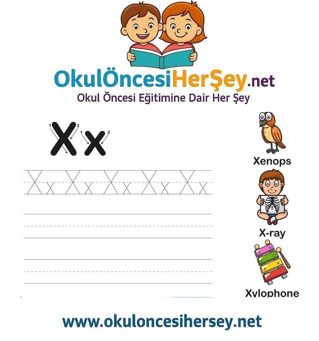 Çizgi Çalışmaları