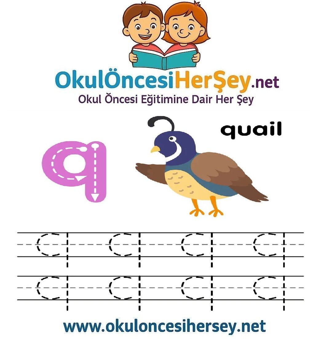 Çizgi Çalışmaları