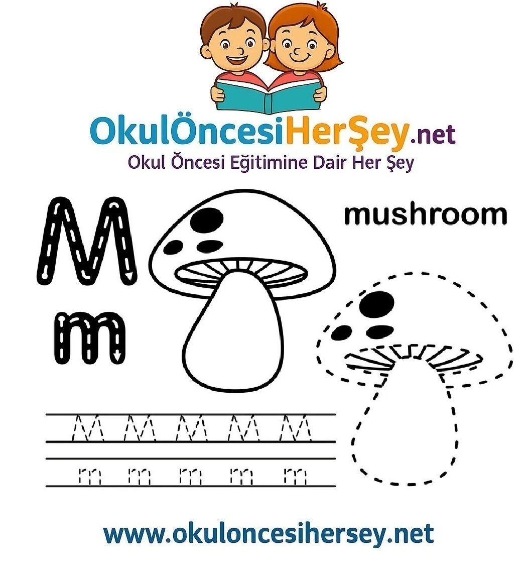 Çizgi Çalışmaları