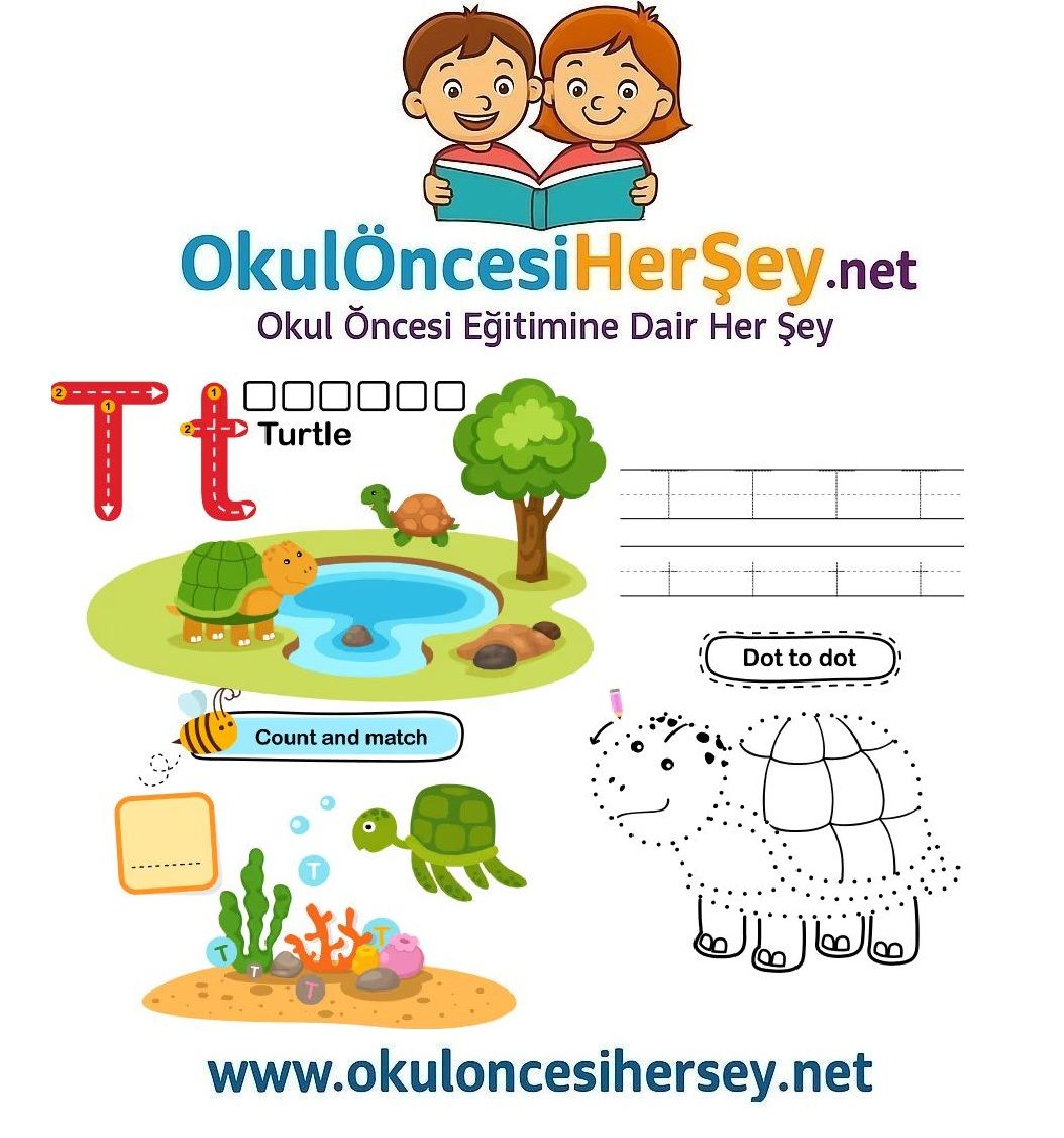 Çizgi Çalışmaları