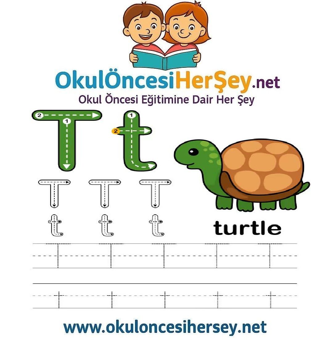 Çizgi Çalışmaları