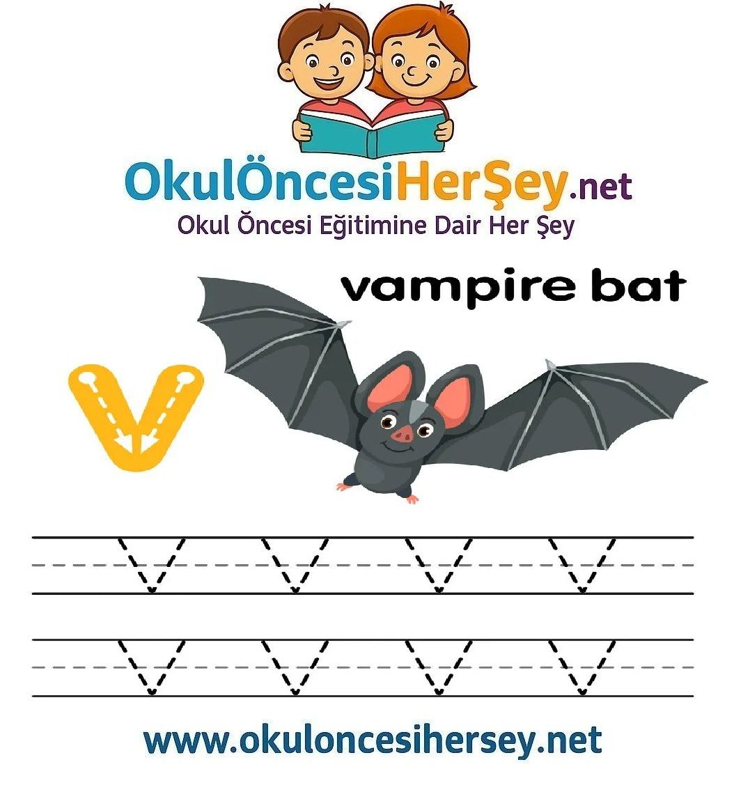 Çizgi Çalışmaları