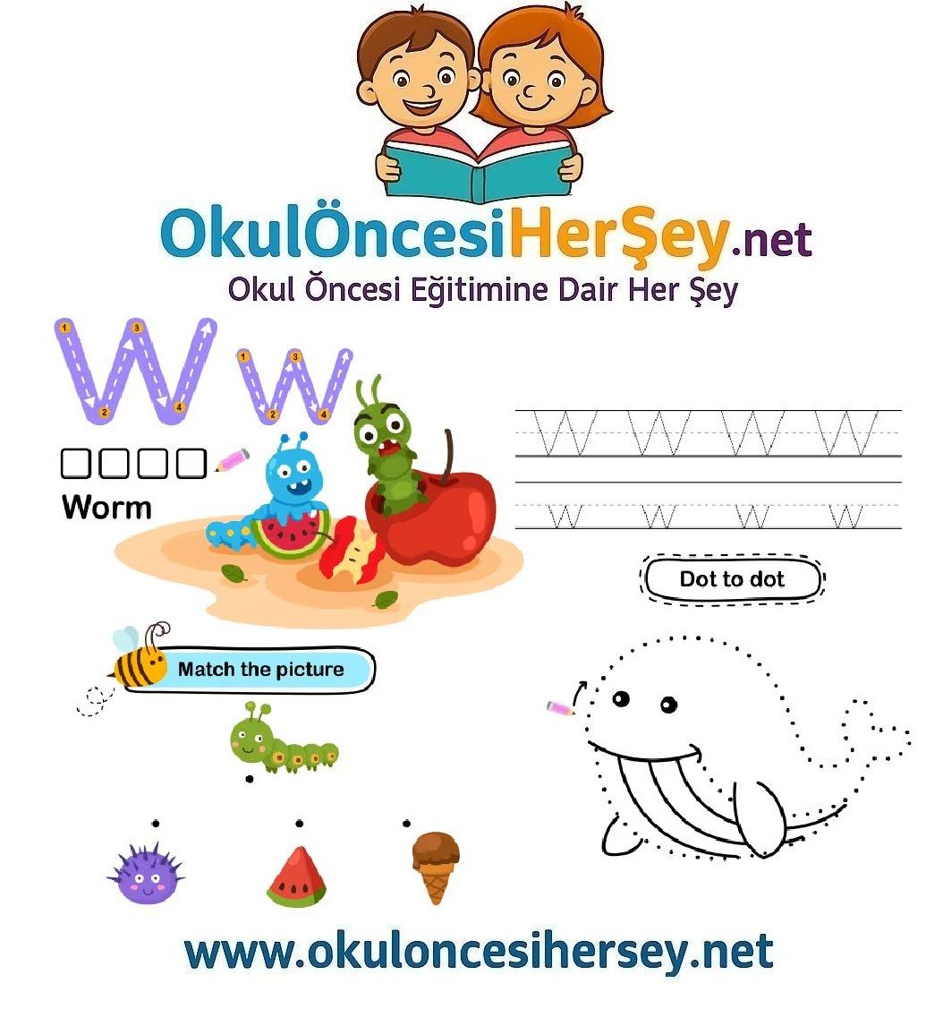 Çizgi Çalışmaları